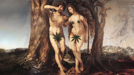 The colorful history of the joint - a journey to the beginning image