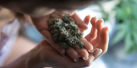 HHC - What you need to know about the effects of hexahydrocannabinol image