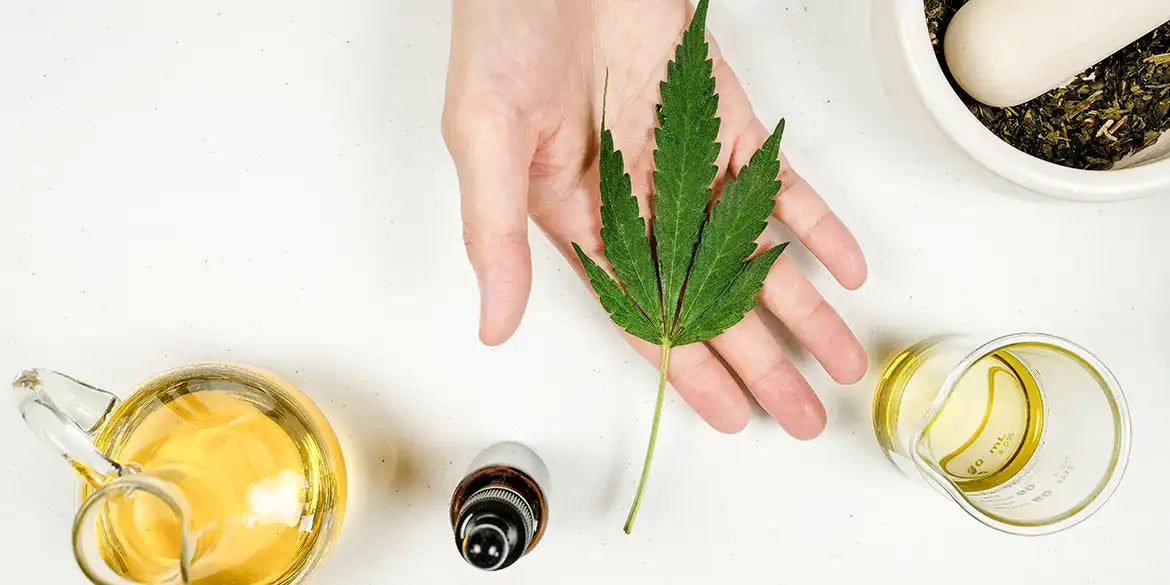 Cannabis Sommelier: Formazione, compiti e importanza degli esperti di cannabis