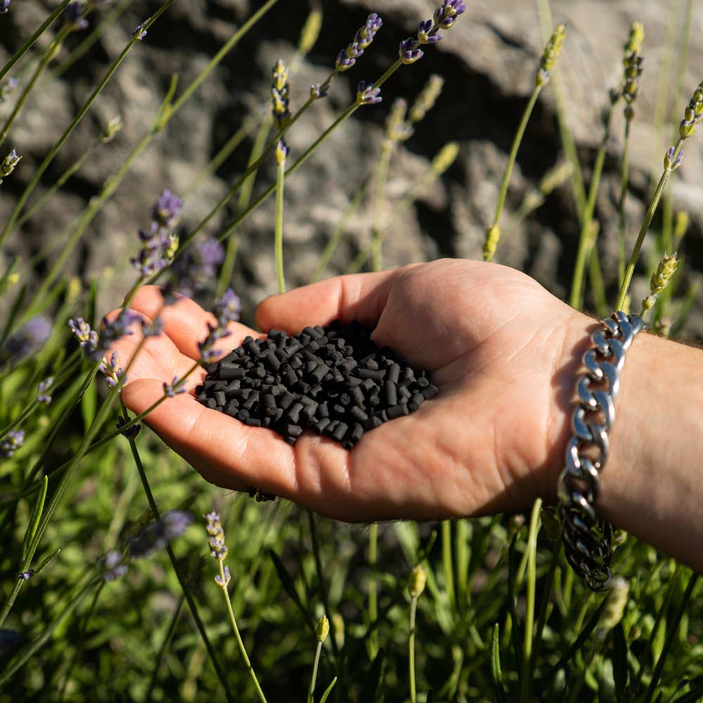Hand mit Kokosnuss-Aktivkohle-Pellets vor Lavendel
