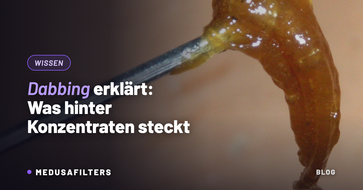 Dabbing erklärt: bernsteinfarbenes Cannabis-Konzentrat an einer Metallspitze, wie es beim Dabbing verwendet wird