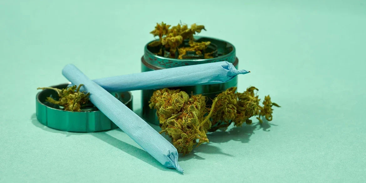 aktivkohlefilter gesünder