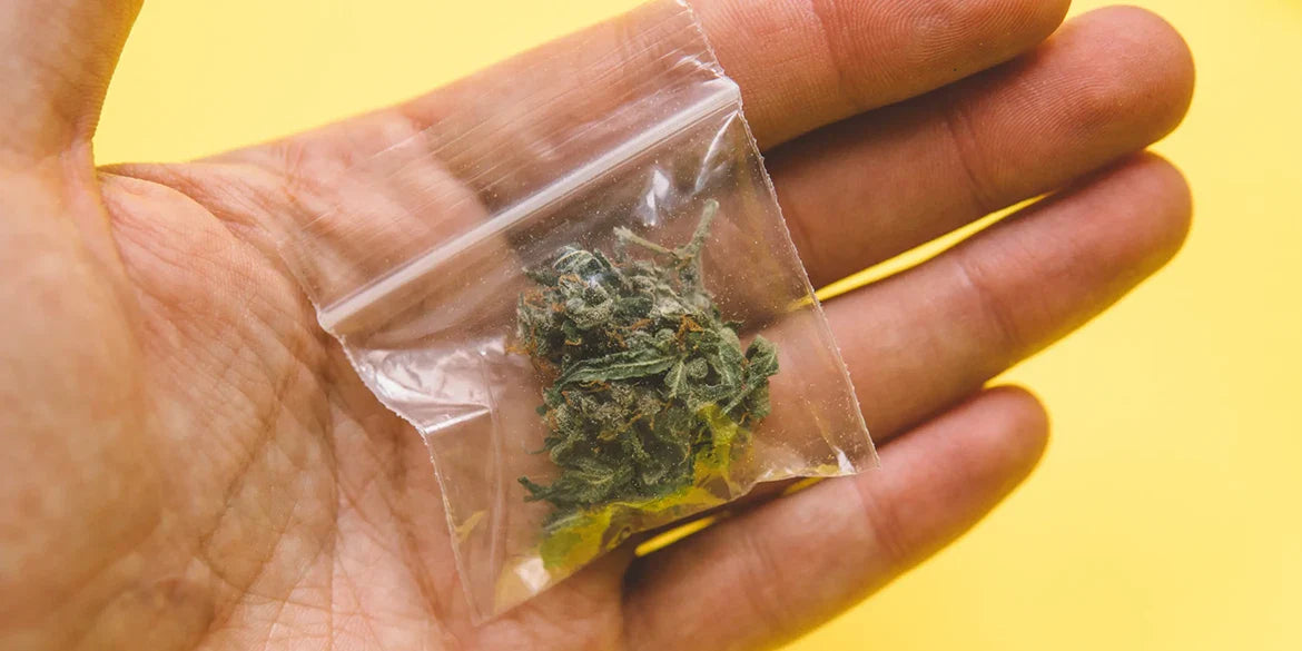 cannabis aufbewahren dose plastiktüte vakuumiert