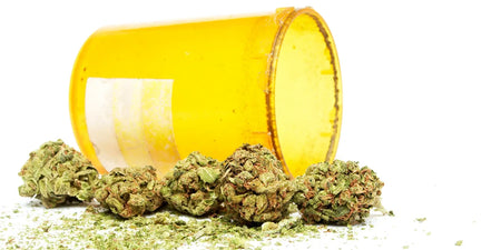 Does cannabis have an expiration date? Preserve marijuana for as long as possible image