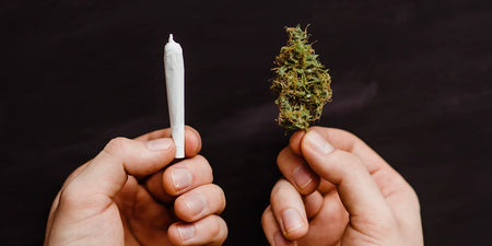 CBD Joints und CBD Zigaretten in Deutschland - Wie kann man CBD rauchen? image