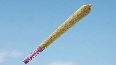 7 easy steps to the perfect joint image