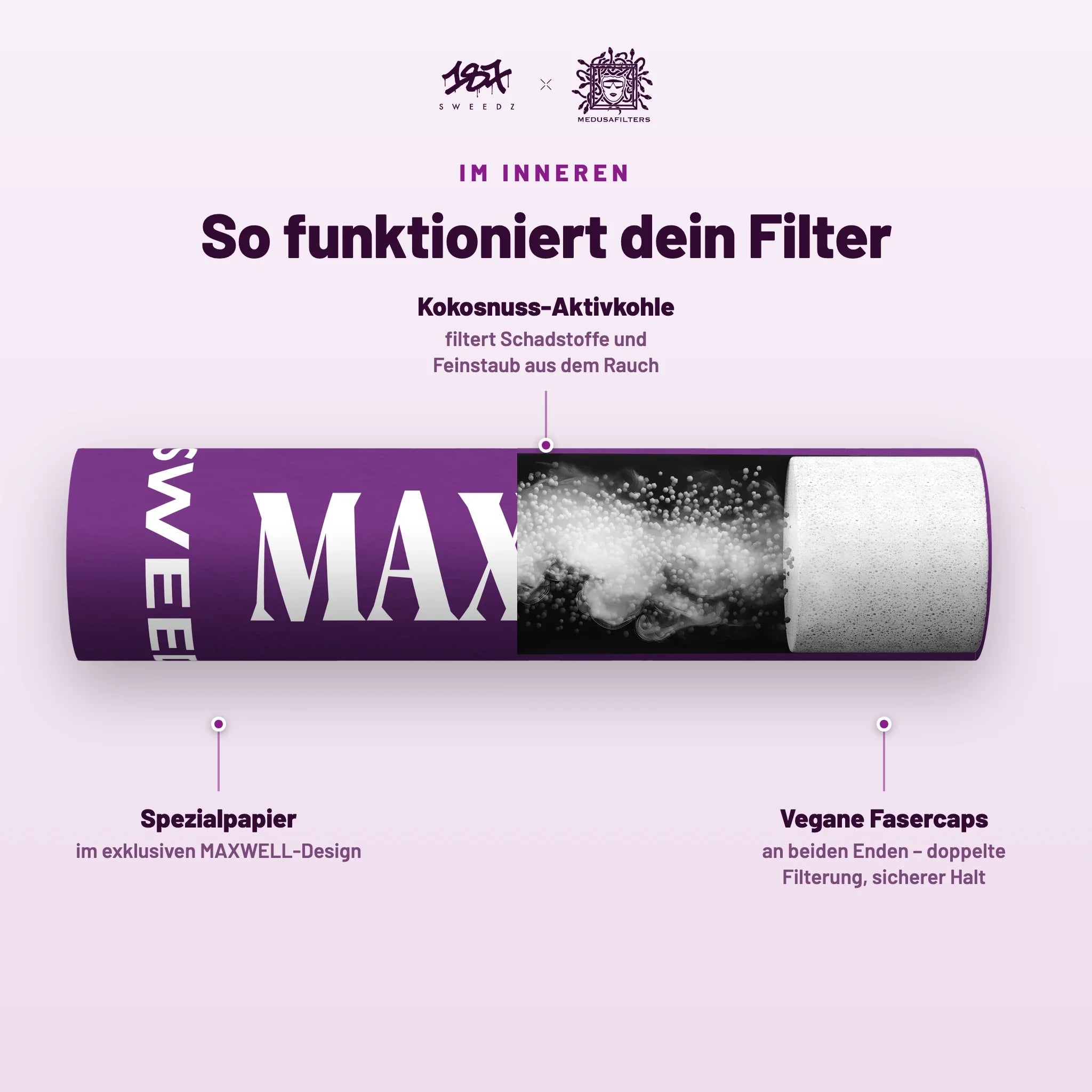 So funktioniert der 187 Sweedz Aktivkohlefilter – Querschnitt im MAXWELL-Design