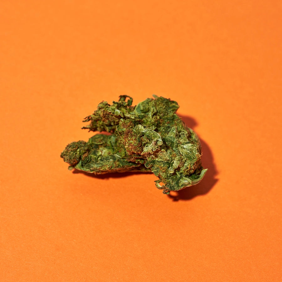 Cannabis getrocknet