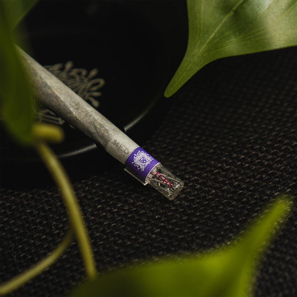 Twisted Glasfilter mit violettem Sticker, Foto auf dunklem Stoff
